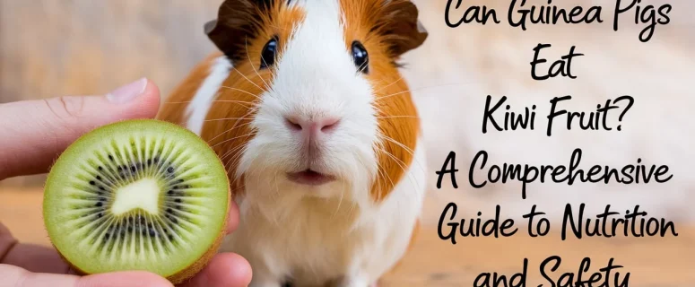 Can Guinea Pigs Eat Kiwi Fruit? A Comprehensive Guide to Nutrition and Safety
